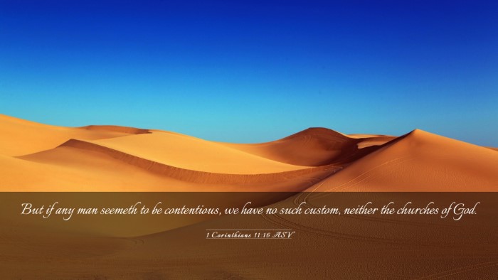 Picture 03 - 1 Corinthians 11:16 ASV Desktop Wallpaper - But if any man seemeth to be contentious, we have - Desktop Bible Verse Wallpaper