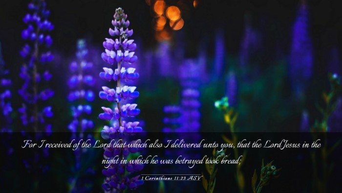 Picture 03 - 1 Corinthians 11:23 ASV Desktop Wallpaper - For I received of the Lord that which also I - Desktop Bible Verse Wallpaper