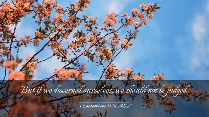 Picture 03 - 1 Corinthians 11:31 ASV Desktop Wallpaper - But if we discerned ourselves, we should not be - Desktop Bible Verse Wallpaper