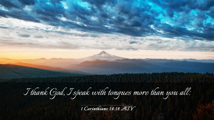 Picture 03 - 1 Corinthians 14:18 ASV Desktop Wallpaper - I thank God, I speak with tongues more than you - Desktop Bible Verse Wallpaper