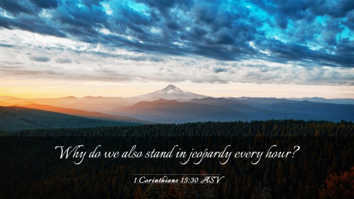 Picture 03 - 1 Corinthians 15:30 ASV Desktop Wallpaper - Why do we also stand in jeopardy every - Desktop Bible Verse Wallpaper