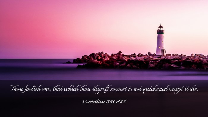 Picture 03 - 1 Corinthians 15:36 ASV Desktop Wallpaper - Thou foolish one, that which thou thyself sowest - Desktop Bible Verse Wallpaper