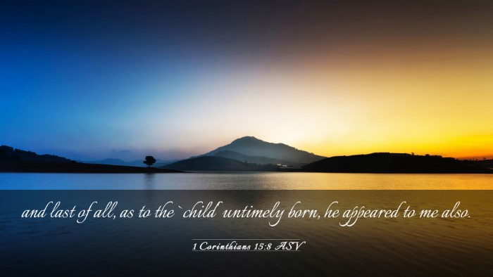 Picture 03 - 1 Corinthians 15:8 ASV Desktop Wallpaper - and last of all, as to the `child' untimely born, - Desktop Bible Verse Wallpaper