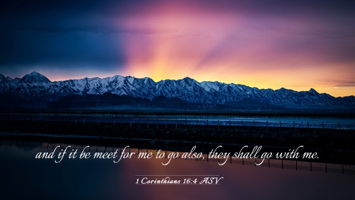 Picture 03 - 1 Corinthians 16:4 ASV Desktop Wallpaper - and if it be meet for me to go also, they shall - Desktop Bible Verse Wallpaper