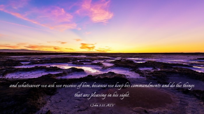 Picture 03 - 1 John 3:22 ASV Desktop Wallpaper - and whatsoever we ask we receive of him, because - Desktop Bible Verse Wallpaper