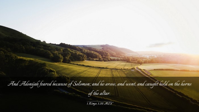 Picture 03 - 1 Kings 1:50 ASV Desktop Wallpaper - And Adonijah feared because of Solomon; and he - Desktop Bible Verse Wallpaper