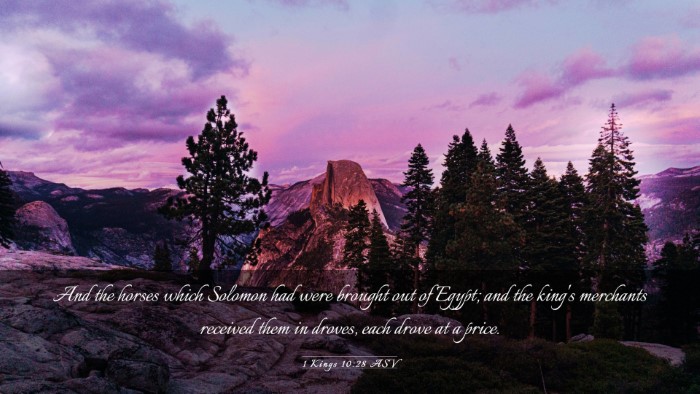 Picture 03 - 1 Kings 10:28 ASV Desktop Wallpaper - And the horses which Solomon had were brought out - Desktop Bible Verse Wallpaper