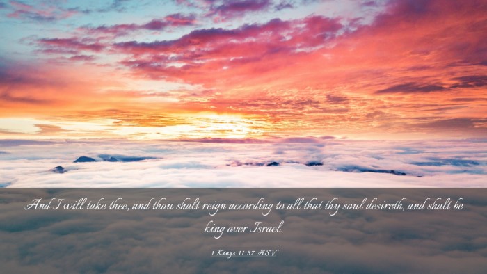 Picture 03 - 1 Kings 11:37 ASV Desktop Wallpaper - And I will take thee, and thou shalt reign - Desktop Bible Verse Wallpaper