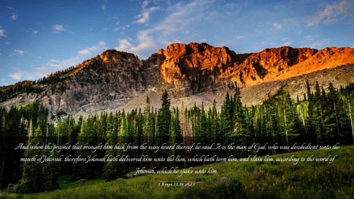 Picture 03 - 1 Kings 13:26 ASV Desktop Wallpaper - And when the prophet that brought him back from - Desktop Bible Verse Wallpaper