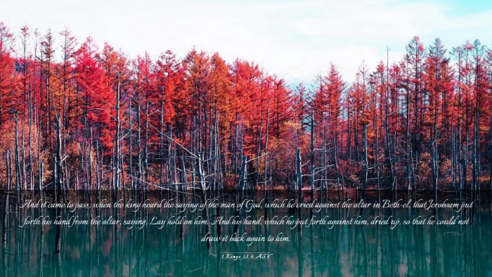 Picture 03 - 1 Kings 13:4 ASV Desktop Wallpaper - And it came to pass, when the king heard the - Desktop Bible Verse Wallpaper