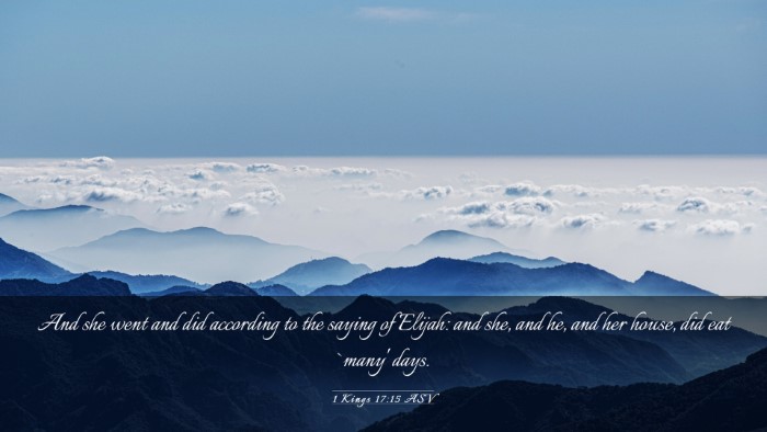 Picture 03 - 1 Kings 17:15 ASV Desktop Wallpaper - And she went and did according to the saying of - Desktop Bible Verse Wallpaper