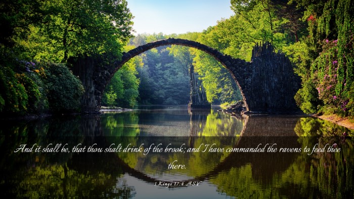 Picture 03 - 1 Kings 17:4 ASV Desktop Wallpaper - And it shall be, that thou shalt drink of the - Desktop Bible Verse Wallpaper