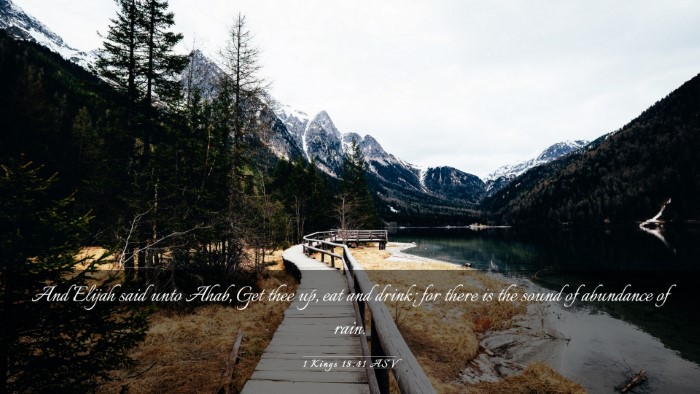 Picture 03 - 1 Kings 18:41 ASV Desktop Wallpaper - And Elijah said unto Ahab, Get thee up, eat and - Desktop Bible Verse Wallpaper