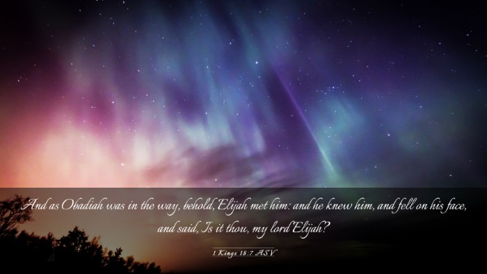 Picture 03 - 1 Kings 18:7 ASV Desktop Wallpaper - And as Obadiah was in the way, behold, Elijah met - Desktop Bible Verse Wallpaper