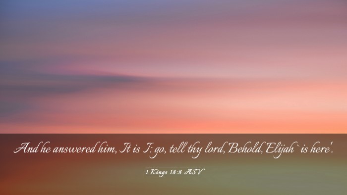 Picture 03 - 1 Kings 18:8 ASV Desktop Wallpaper - And he answered him, It is I: go, tell thy lord, - Desktop Bible Verse Wallpaper
