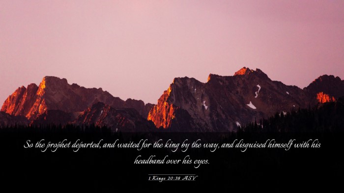 Picture 03 - 1 Kings 20:38 ASV Desktop Wallpaper - So the prophet departed, and waited for the king - Desktop Bible Verse Wallpaper
