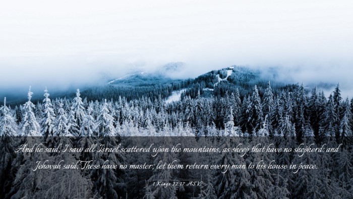 Picture 03 - 1 Kings 22:17 ASV Desktop Wallpaper - And he said, I saw all Israel scattered upon the - Desktop Bible Verse Wallpaper