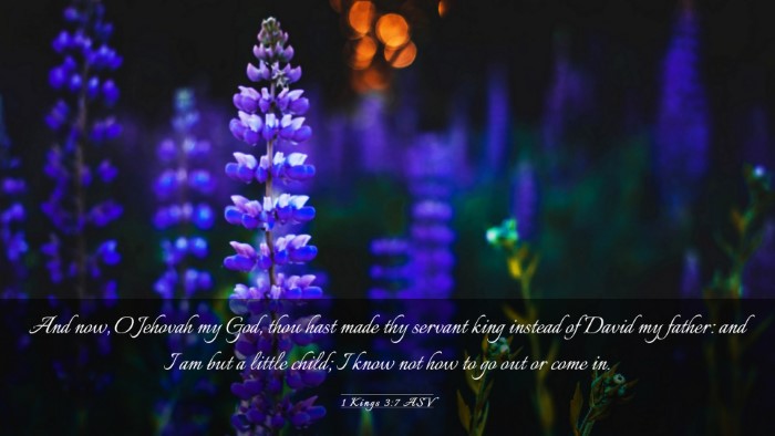 Picture 03 - 1 Kings 3:7 ASV Desktop Wallpaper - And now, O Jehovah my God, thou hast made thy - Desktop Bible Verse Wallpaper