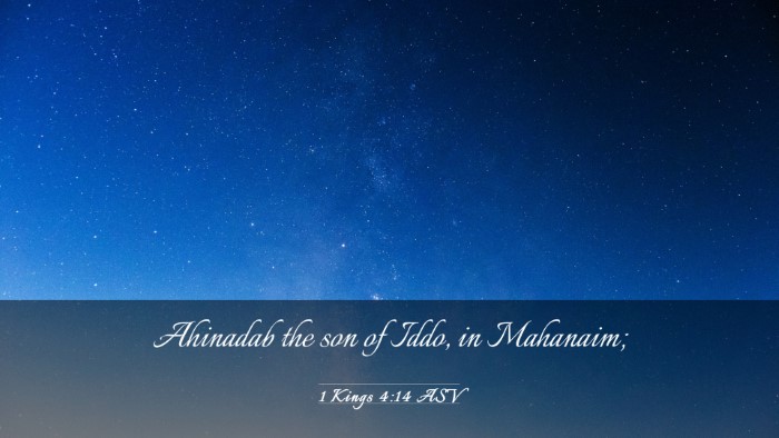 Picture 03 - 1 Kings 4:14 ASV Desktop Wallpaper - Ahinadab the son of Iddo, in - Desktop Bible Verse Wallpaper