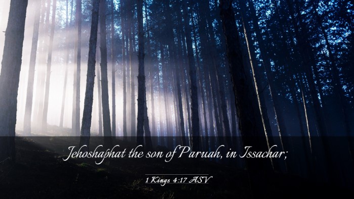Picture 03 - 1 Kings 4:17 ASV Desktop Wallpaper - Jehoshaphat the son of Paruah, in - Desktop Bible Verse Wallpaper