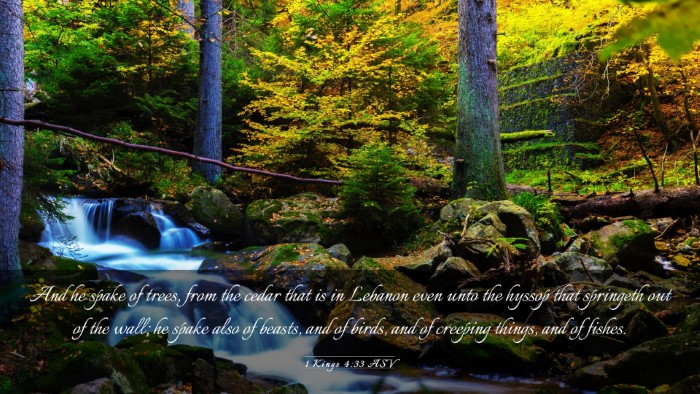 Picture 03 - 1 Kings 4:33 ASV Desktop Wallpaper - And he spake of trees, from the cedar that is in - Desktop Bible Verse Wallpaper