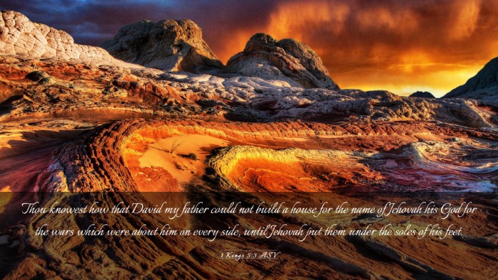 Picture 03 - 1 Kings 5:3 ASV Desktop Wallpaper - Thou knowest how that David my father could not - Desktop Bible Verse Wallpaper