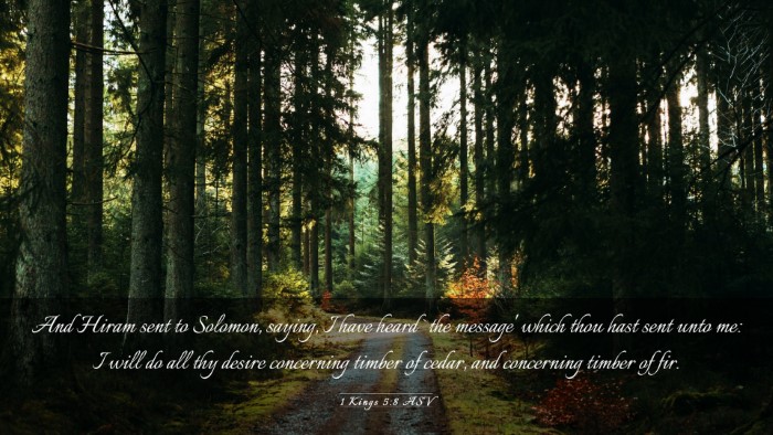 Picture 03 - 1 Kings 5:8 ASV Desktop Wallpaper - And Hiram sent to Solomon, saying, I have heard - Desktop Bible Verse Wallpaper