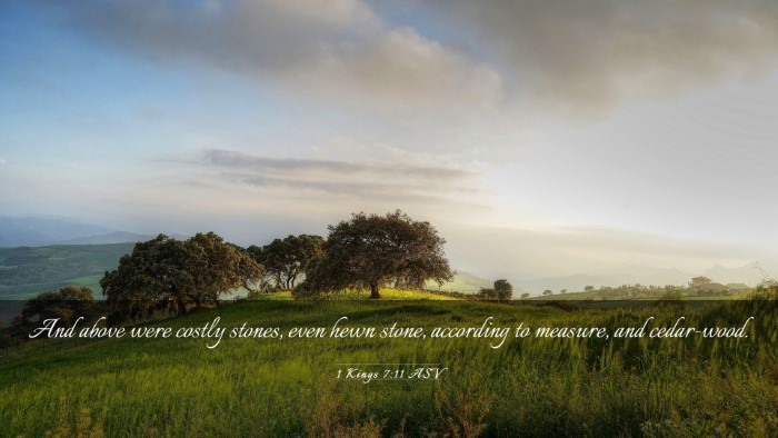 Picture 03 - 1 Kings 7:11 ASV Desktop Wallpaper - And above were costly stones, even hewn stone, - Desktop Bible Verse Wallpaper