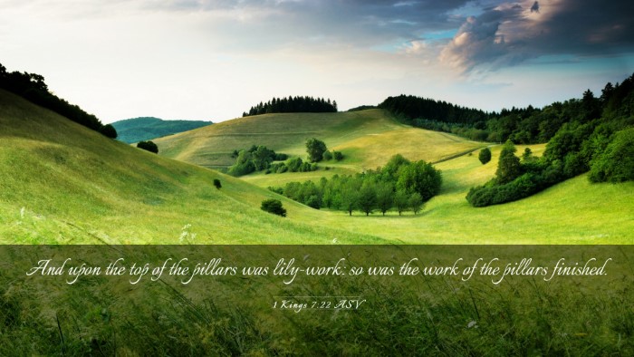 Picture 03 - 1 Kings 7:22 ASV Desktop Wallpaper - And upon the top of the pillars was lily-work: so - Desktop Bible Verse Wallpaper