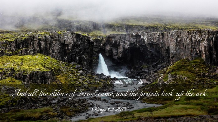 Picture 03 - 1 Kings 8:3 ASV Desktop Wallpaper - And all the elders of Israel came, and the - Desktop Bible Verse Wallpaper