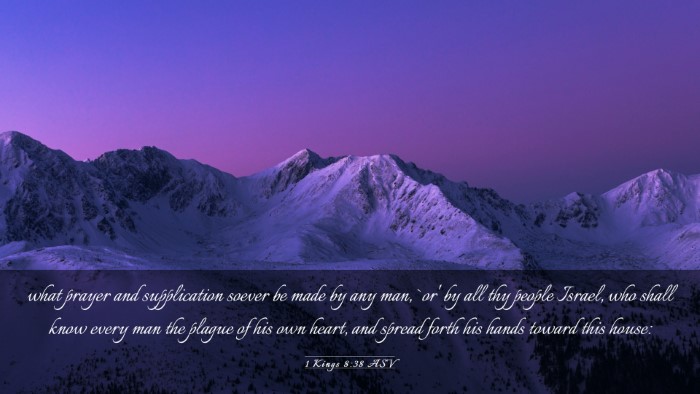 Picture 03 - 1 Kings 8:38 ASV Desktop Wallpaper - what prayer and supplication soever be made by - Desktop Bible Verse Wallpaper