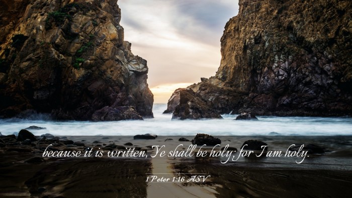 Picture 03 - 1 Peter 1:16 ASV Desktop Wallpaper - because it is written, Ye shall be holy; for I am - Desktop Bible Verse Wallpaper