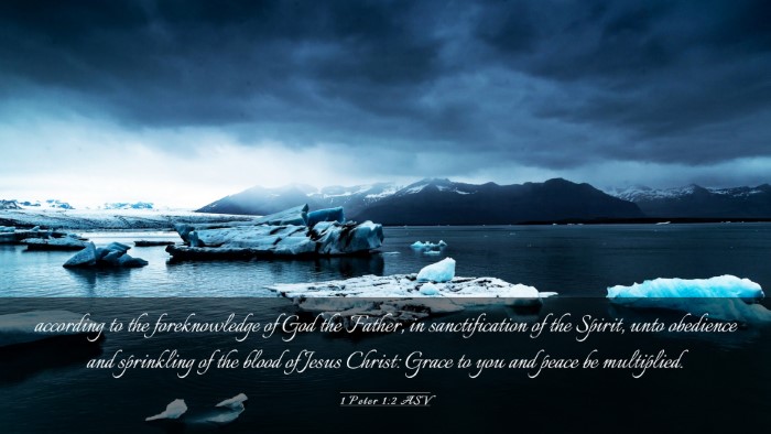 Picture 03 - 1 Peter 1:2 ASV Desktop Wallpaper - according to the foreknowledge of God the Father, - Desktop Bible Verse Wallpaper