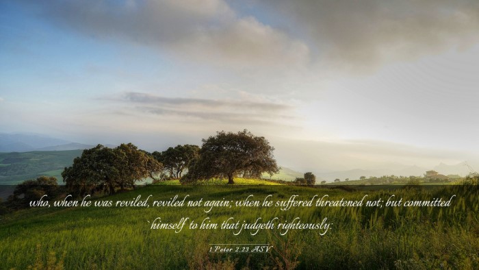 Picture 03 - 1 Peter 2:23 ASV Desktop Wallpaper - who, when he was reviled, reviled not again; when - Desktop Bible Verse Wallpaper