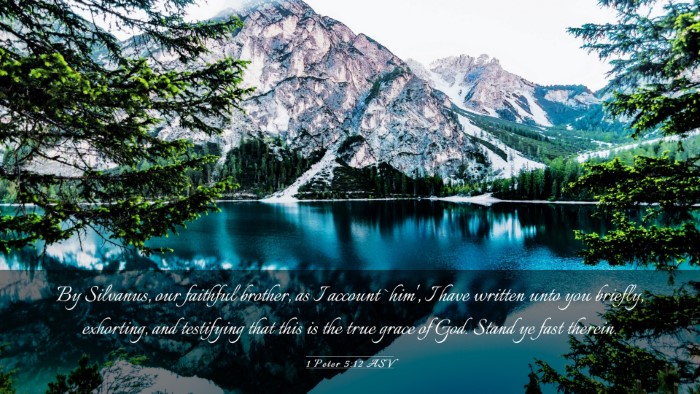Picture 03 - 1 Peter 5:12 ASV Desktop Wallpaper - By Silvanus, our faithful brother, as I account - Desktop Bible Verse Wallpaper