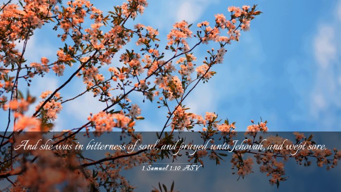 Picture 03 - 1 Samuel 1:10 ASV Desktop Wallpaper - And she was in bitterness of soul, and prayed - Desktop Bible Verse Wallpaper