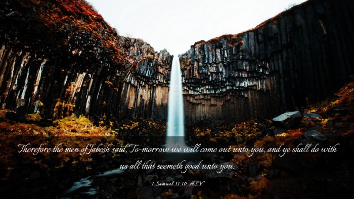 Picture 03 - 1 Samuel 11:10 ASV Desktop Wallpaper - Therefore the men of Jabesh said, To-morrow we - Desktop Bible Verse Wallpaper