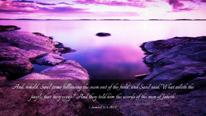 Picture 03 - 1 Samuel 11:5 ASV Desktop Wallpaper - And, behold, Saul came following the oxen out of - Desktop Bible Verse Wallpaper