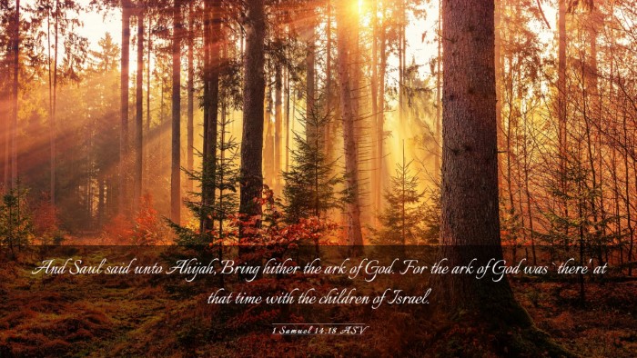 Picture 03 - 1 Samuel 14:18 ASV Desktop Wallpaper - And Saul said unto Ahijah, Bring hither the ark - Desktop Bible Verse Wallpaper