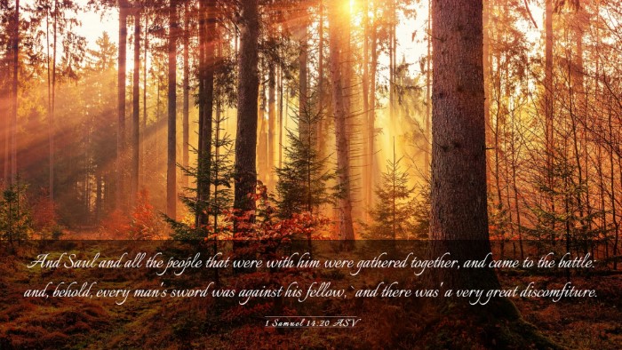 Picture 03 - 1 Samuel 14:20 ASV Desktop Wallpaper - And Saul and all the people that were with him - Desktop Bible Verse Wallpaper
