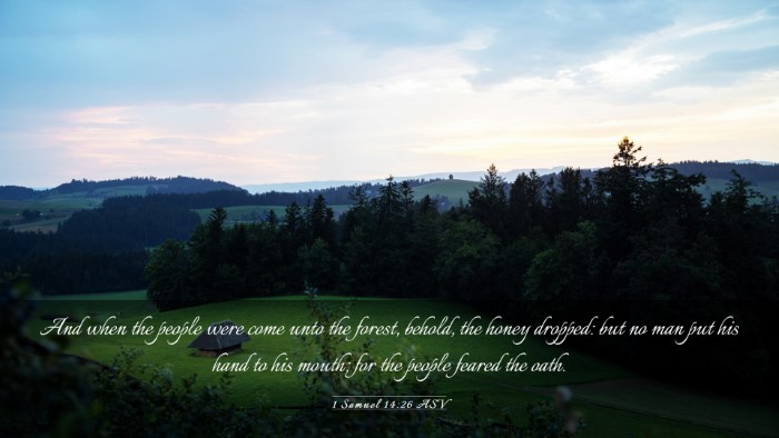 Picture 03 - 1 Samuel 14:26 ASV Desktop Wallpaper - And when the people were come unto the forest, - Desktop Bible Verse Wallpaper