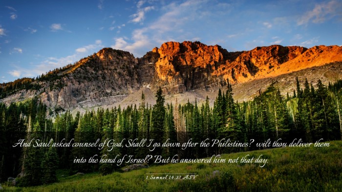 Picture 03 - 1 Samuel 14:37 ASV Desktop Wallpaper - And Saul asked counsel of God, Shall I go down - Desktop Bible Verse Wallpaper