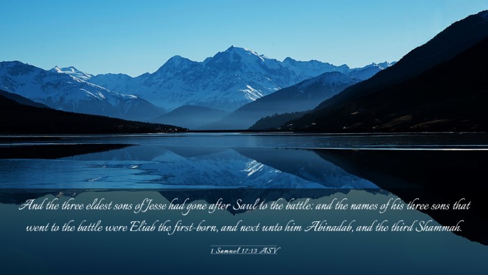 Picture 03 - 1 Samuel 17:13 ASV Desktop Wallpaper - And the three eldest sons of Jesse had gone after - Desktop Bible Verse Wallpaper