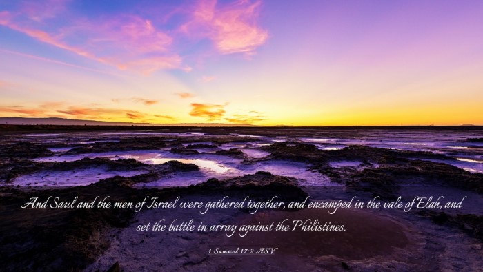 Picture 03 - 1 Samuel 17:2 ASV Desktop Wallpaper - And Saul and the men of Israel were gathered - Desktop Bible Verse Wallpaper