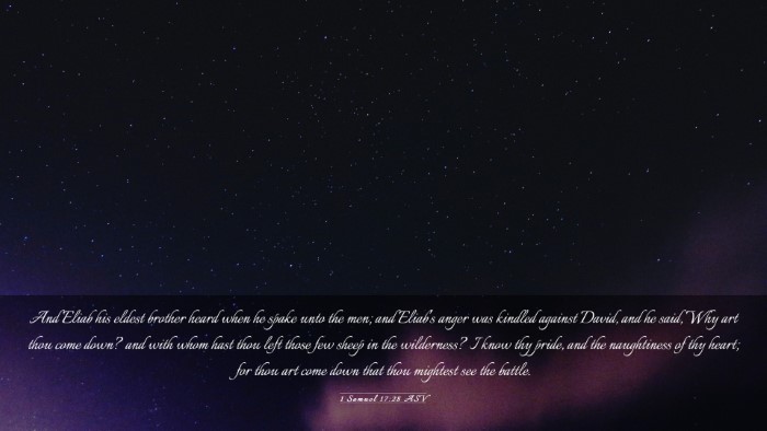 Picture 03 - 1 Samuel 17:28 ASV Desktop Wallpaper - And Eliab his eldest brother heard when he spake - Desktop Bible Verse Wallpaper