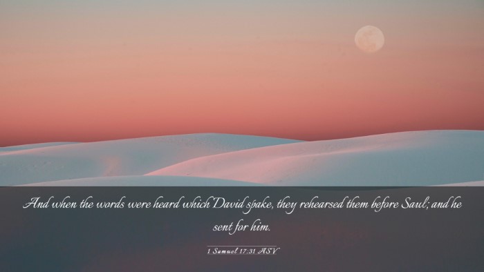 Picture 03 - 1 Samuel 17:31 ASV Desktop Wallpaper - And when the words were heard which David spake, - Desktop Bible Verse Wallpaper