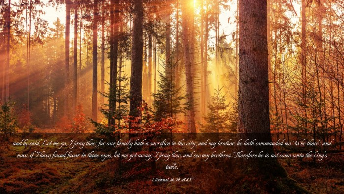 Picture 03 - 1 Samuel 20:29 ASV Desktop Wallpaper - and he said, Let me go, I pray thee; for our - Desktop Bible Verse Wallpaper