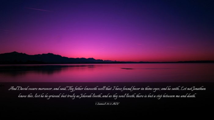 Picture 03 - 1 Samuel 20:3 ASV Desktop Wallpaper - And David sware moreover, and said, Thy father - Desktop Bible Verse Wallpaper
