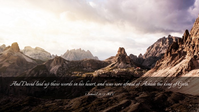 Picture 03 - 1 Samuel 21:12 ASV Desktop Wallpaper - And David laid up these words in his heart, and - Desktop Bible Verse Wallpaper