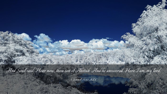 Picture 03 - 1 Samuel 22:12 ASV Desktop Wallpaper - And Saul said, Hear now, thou son of Ahitub. And - Desktop Bible Verse Wallpaper